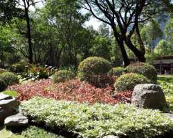 It is home to over 3400 trees of 112 different types. More than 500 trees of Narra are planted in the park.